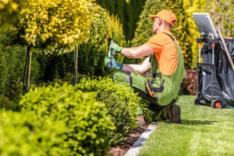 Xeriscaping Service