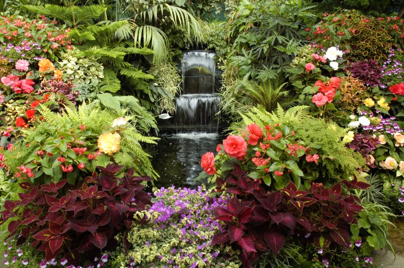 Pond Waterfall Installation in Honolulu, HI