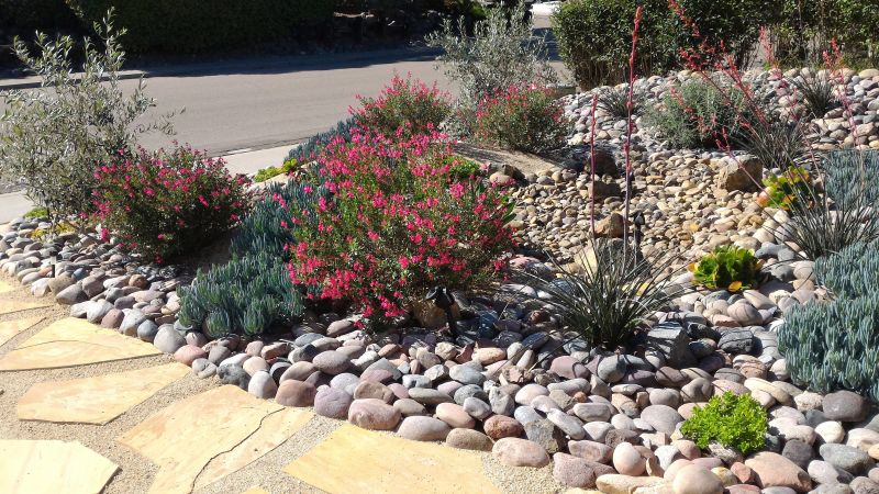 Landscape Design Experts