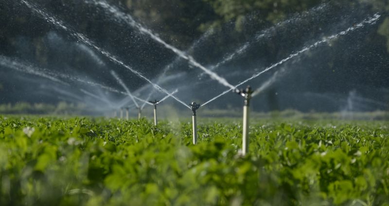 Efficient Irrigation System