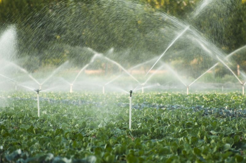 Efficient Irrigation Systems