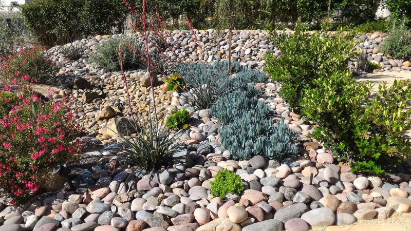 Xeriscaping Plant Selection