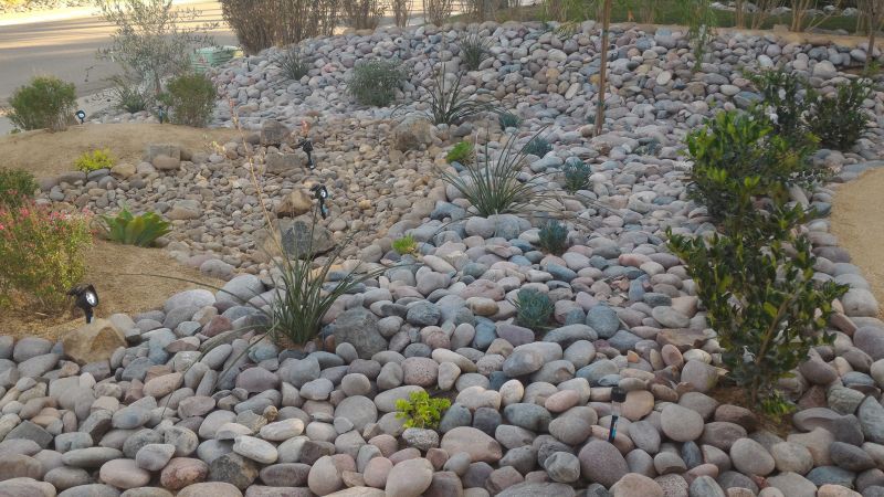 Xeriscaping Design