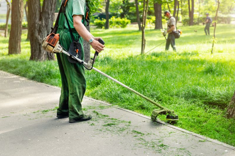 Local Xeriscaping Service pros at work